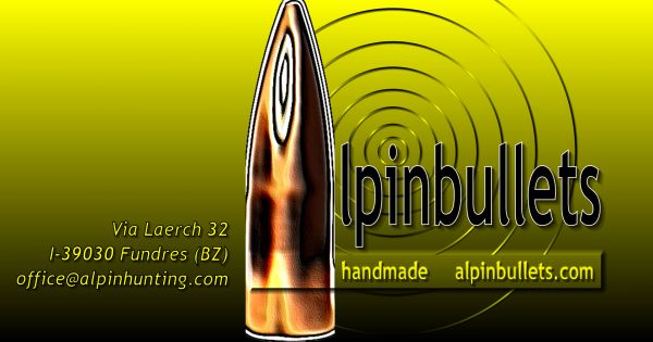 ALPINBULLETS CAL .30 GR. 117